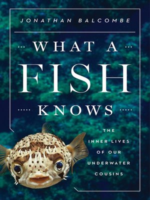 cover image of What a Fish Knows